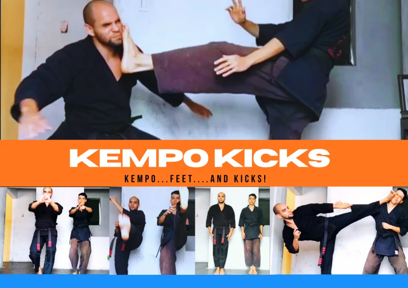 upload:kempo_kicks_3_.webp