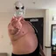 channel